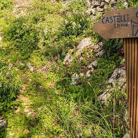 Castelli Olive Press Guest House Acharavi  Exterior foto