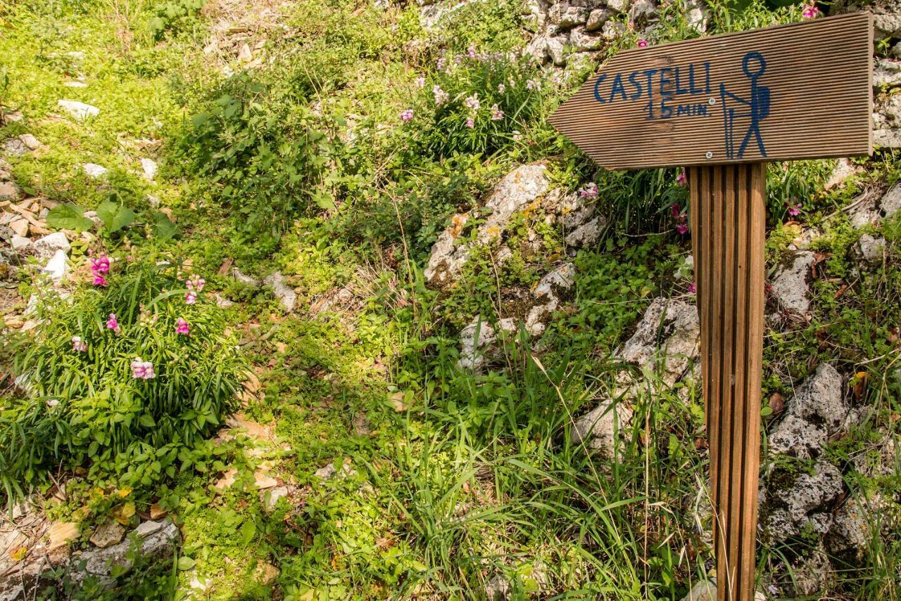 Castelli Olive Press Guest House Acharavi  Exterior foto