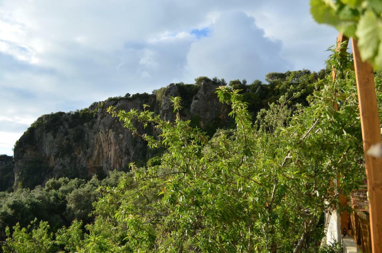 Castelli Olive Press Guest House Acharavi  Exterior foto